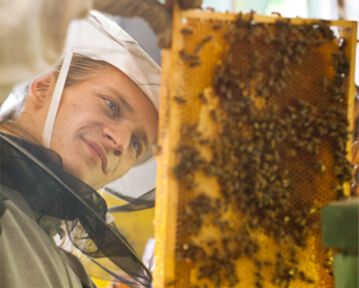 Pszczelarz i technik pszczelarz